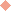 point rose présentation